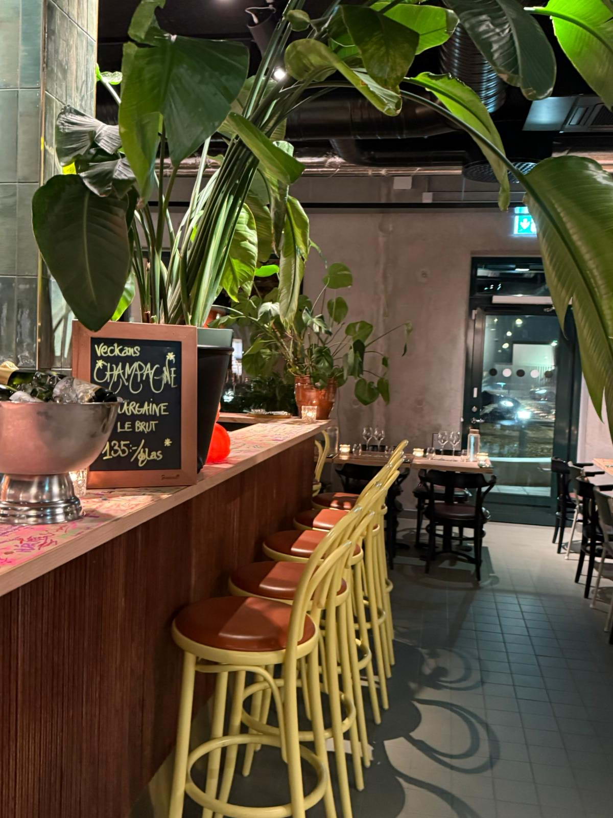 Photo from Troppo by Amru S. (04/01/2026)