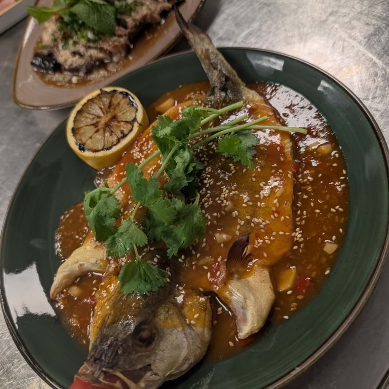 Photo from Troppo by Amru&nbsp;S. (04/01/2026)