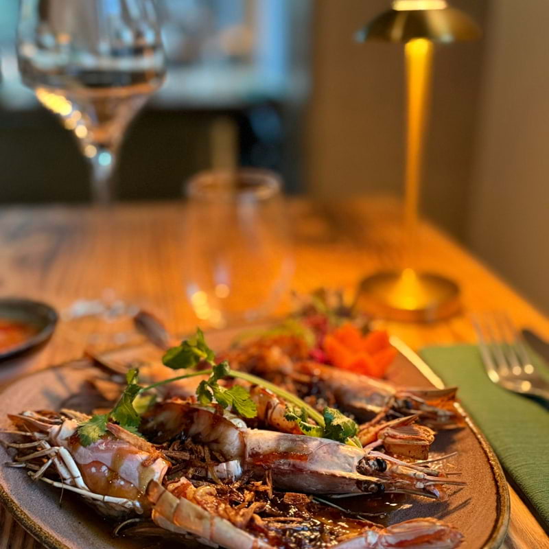 Bild från Troppo av Amru S. (2026-01-10)