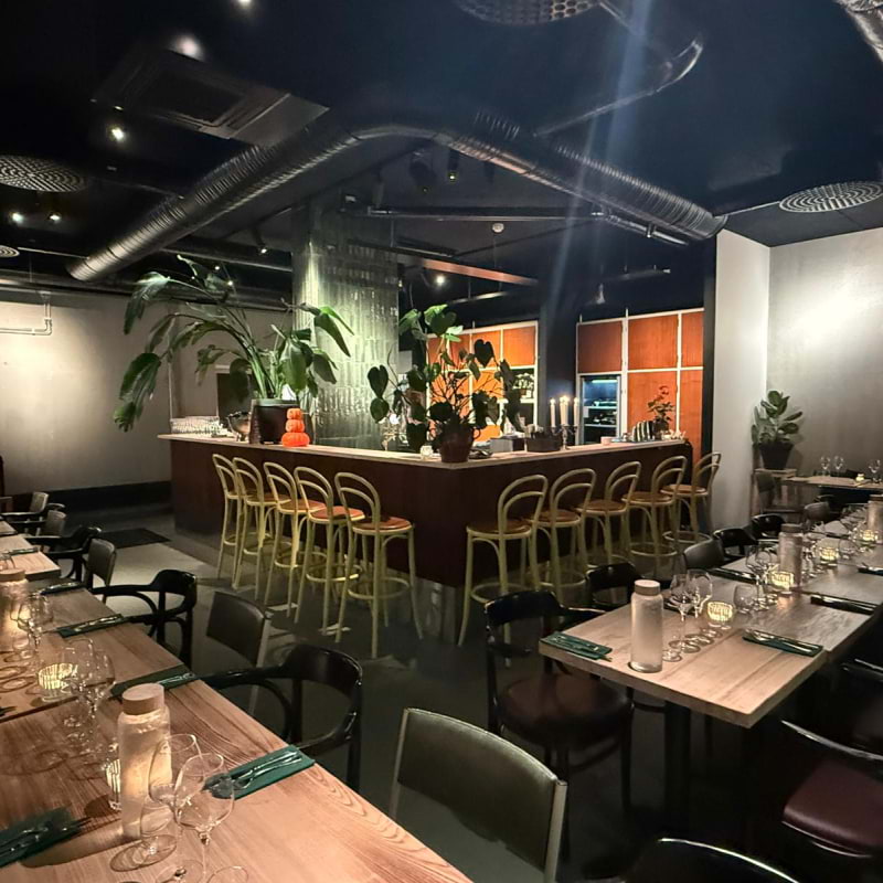 Photo from Troppo by Amru&nbsp;S. (04/01/2026)