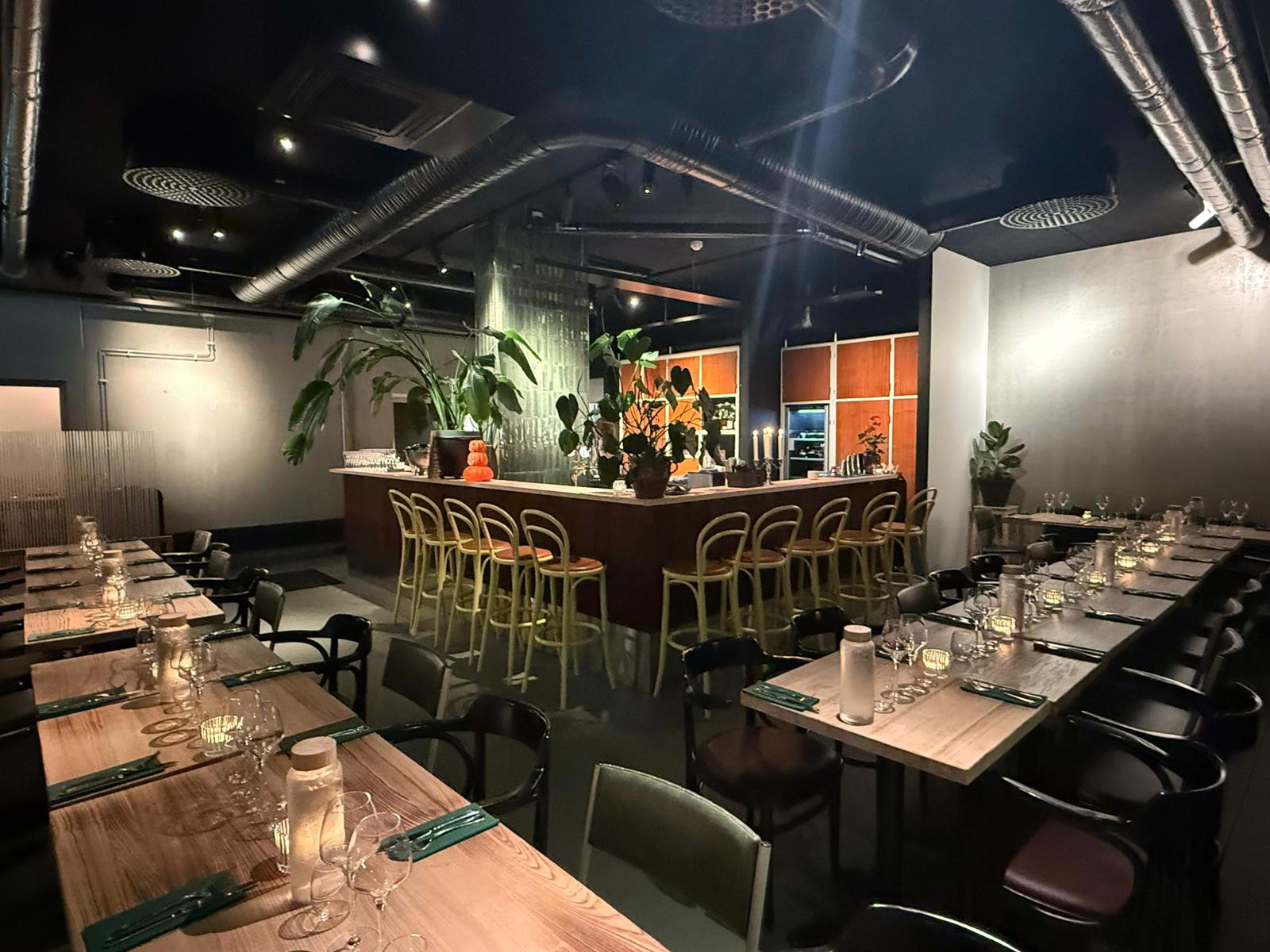 Photo from Troppo by Amru S. (04/01/2026)