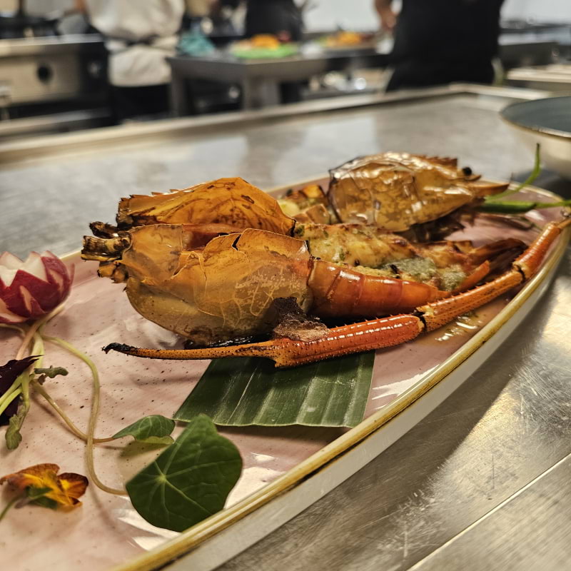 Photo from Troppo by Amru&nbsp;S. (04/01/2026)