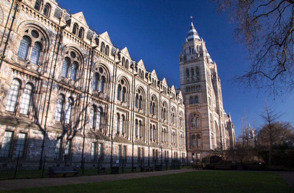 Natural History Museum – Weekend with kids