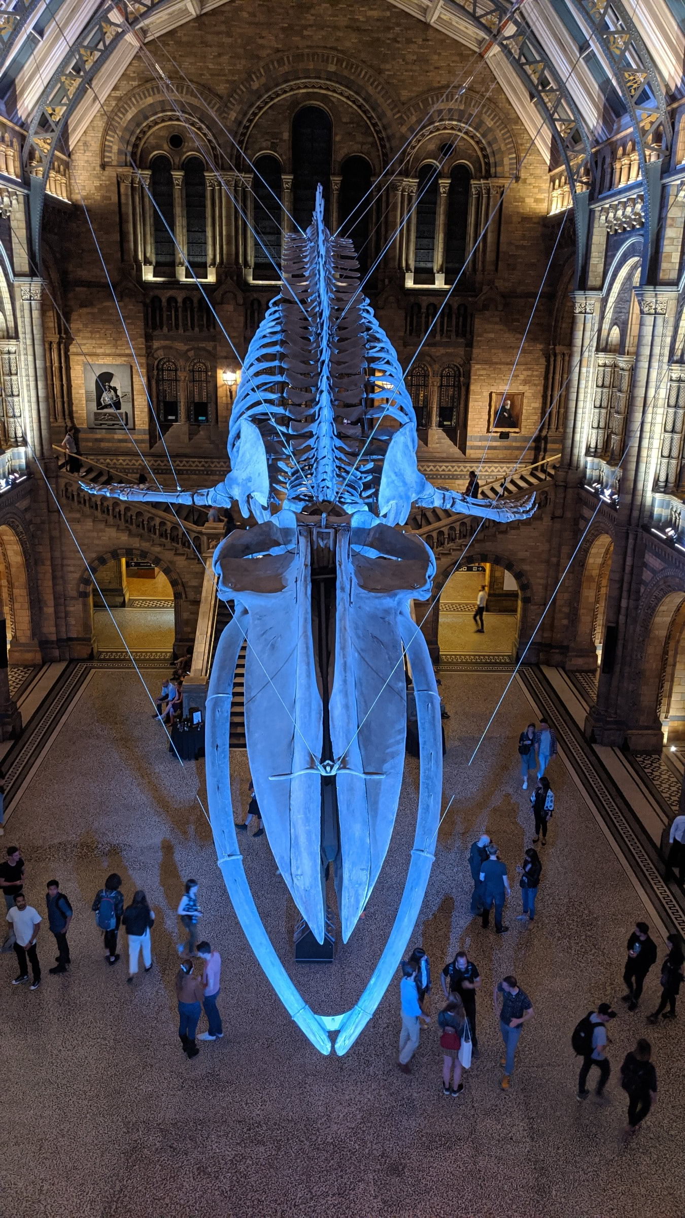 Photo from Natural History Museum by Vesna D. (19/09/2022)