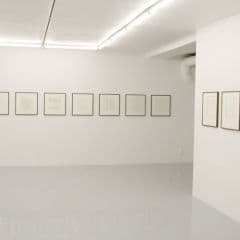 Niklas Belenius Gallery