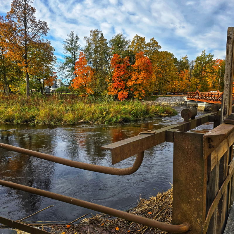 Photo from Bageri Sonja by Cecilia&nbsp;S. (04/02/2026)