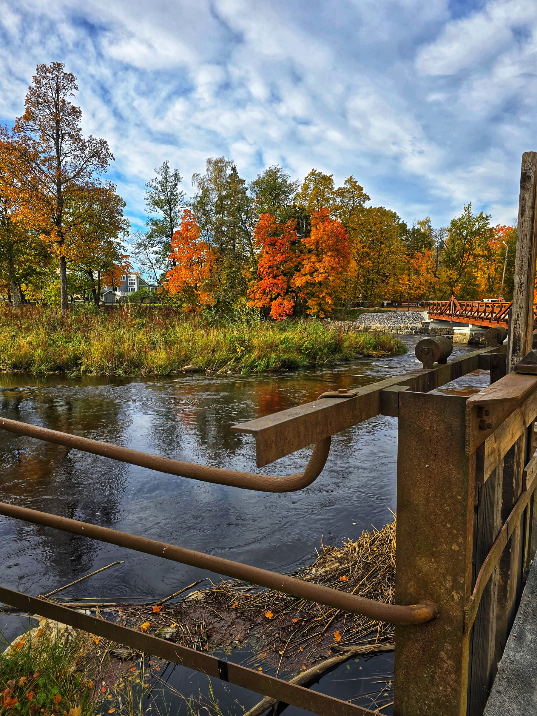 Photo from Bageri Sonja by Cecilia S. (04/02/2026)