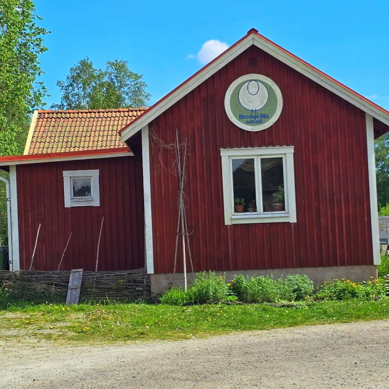 Bild fr&aring;n Bredsj&ouml; Mj&ouml;lkf&aring;r Ostcaf&eacute; & g&aring;rdsmejeri av Cecilia&nbsp;S. (2026-06-11)