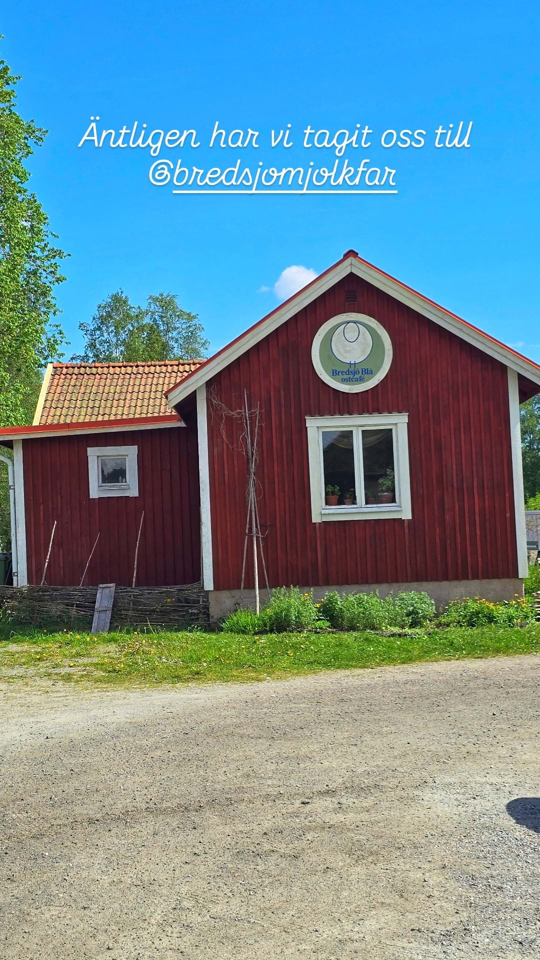 Bild från Bredsjö Mjölkfår Ostcafé & gårdsmejeri av Cecilia S. (2026-06-11)