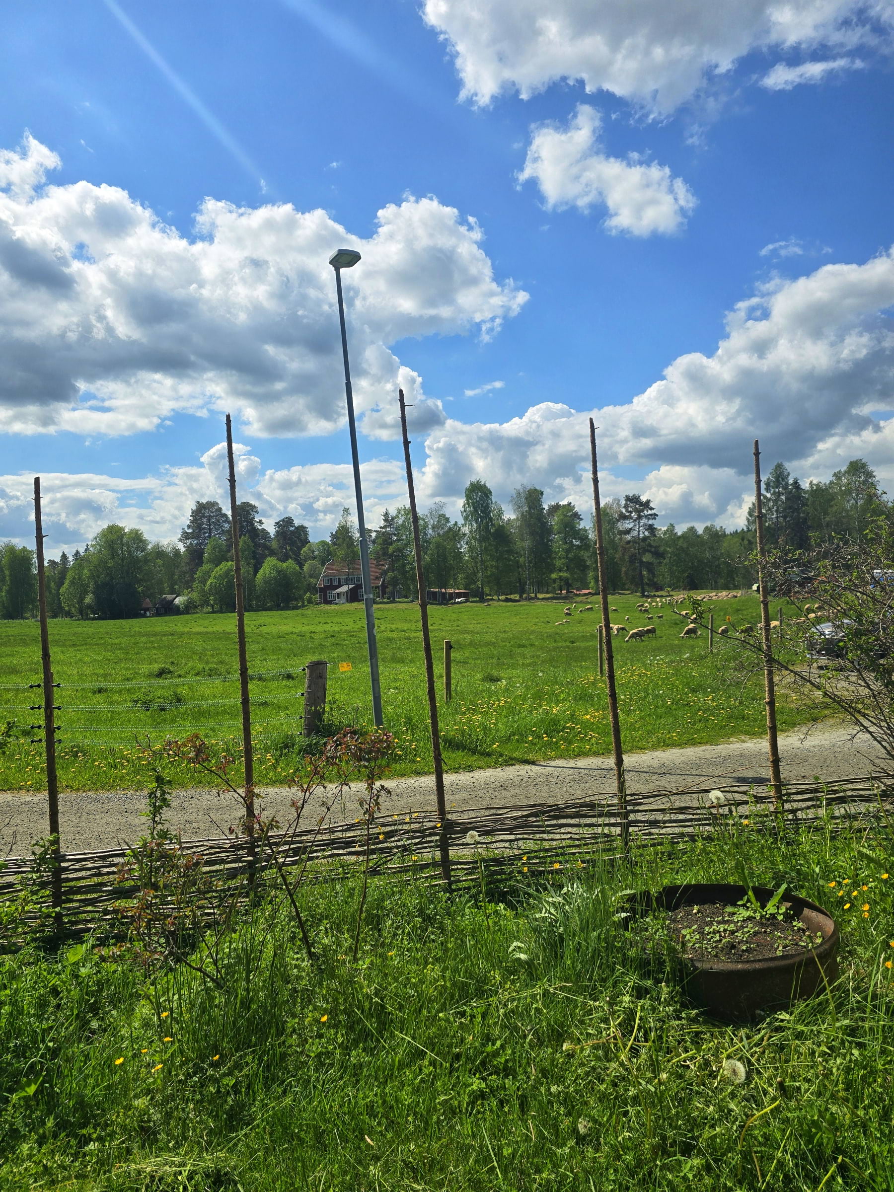 Bild från Bredsjö Mjölkfår Ostcafé & gårdsmejeri av Cecilia S. (2026-06-11)