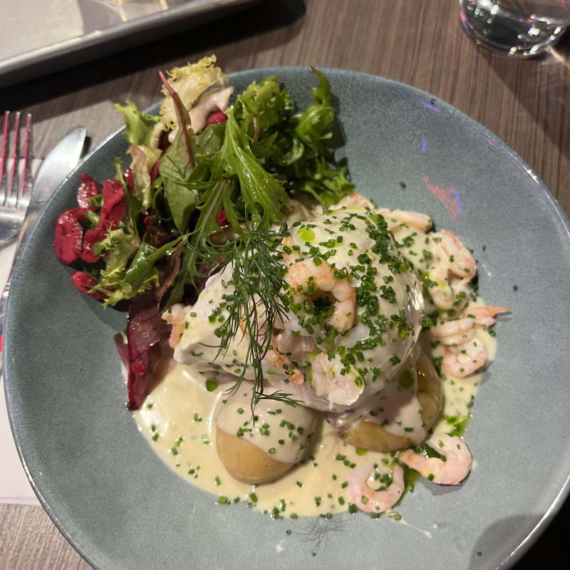 Photo from Fisk i Hallen by Moa L. (15/11/2025)