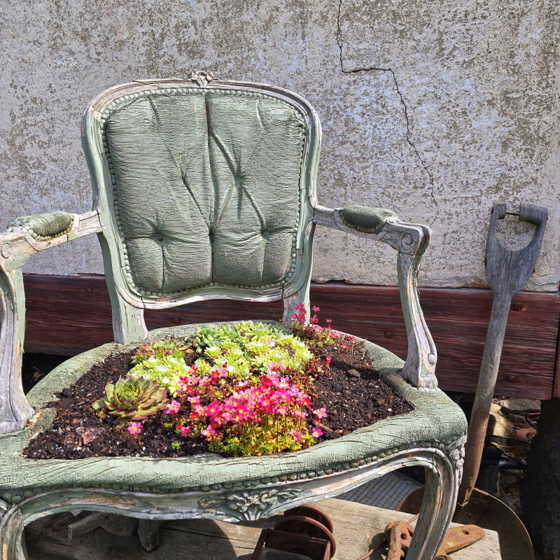 Bild från Gillberga Gård Vintage av Cecilia S. (2026-05-19)