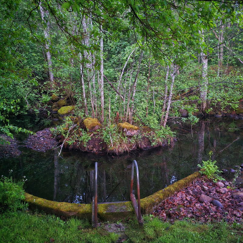 Billede fra Sikfors Herrg&aring;rd af Cecilia&nbsp;S. (04.06.2026)