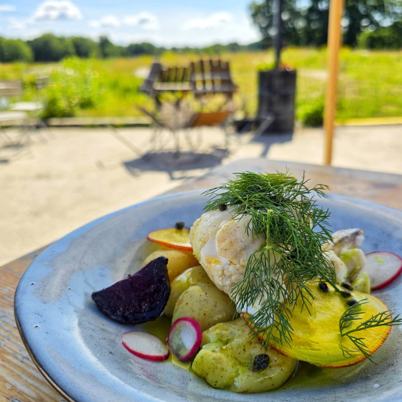 Photo from Stora Hjortstorps G&aring;rd by Cecilia&nbsp;S. (31/03/2026)