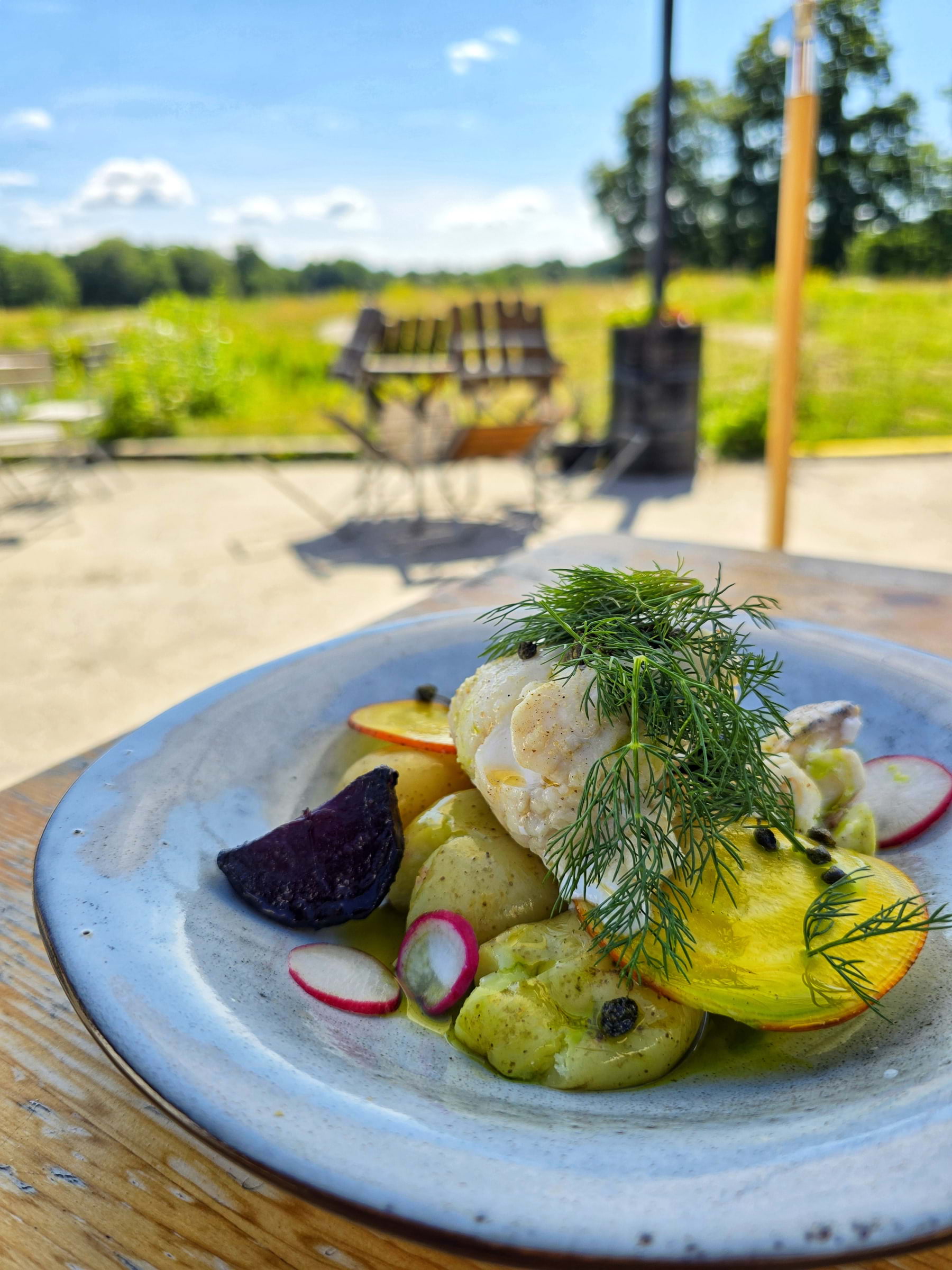 Photo from Stora Hjortstorps G&aring;rd by Cecilia&nbsp;S. (31/03/2026)