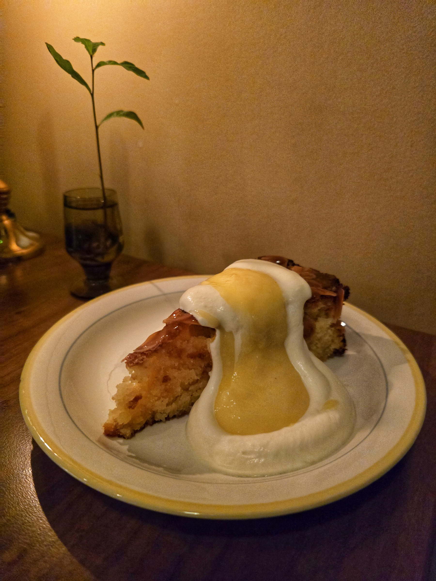 Photo from Veto by Cecilia S. (30/03/2026)