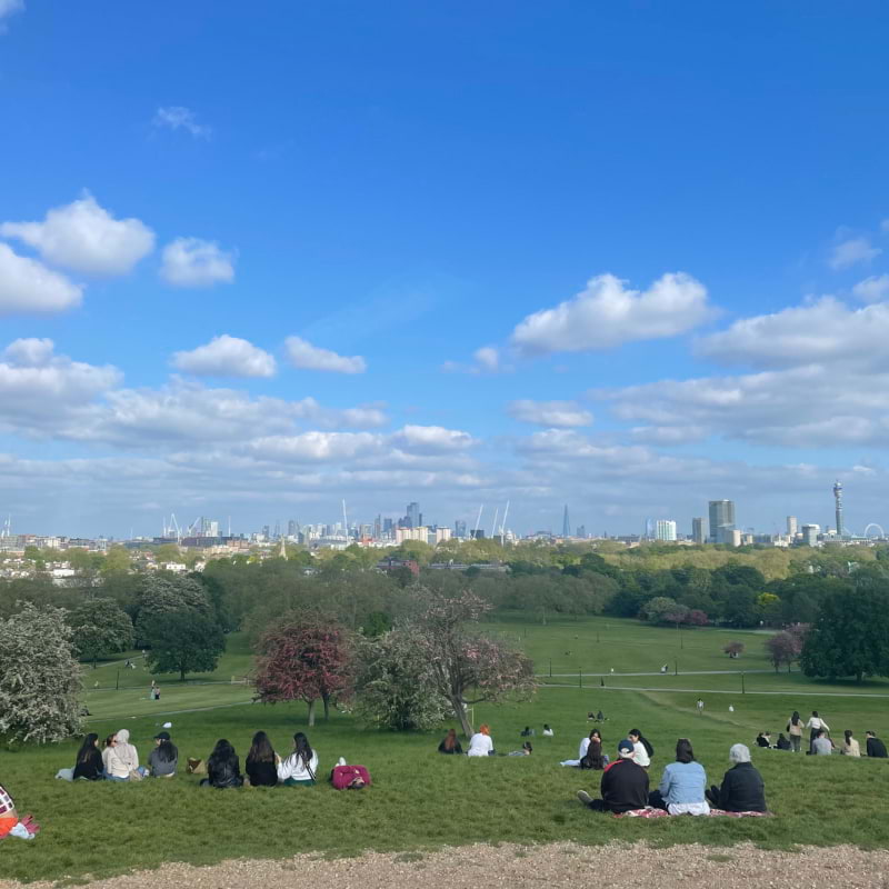 Photo from Primrose Hill by Tamsin S. (25/05/2023)