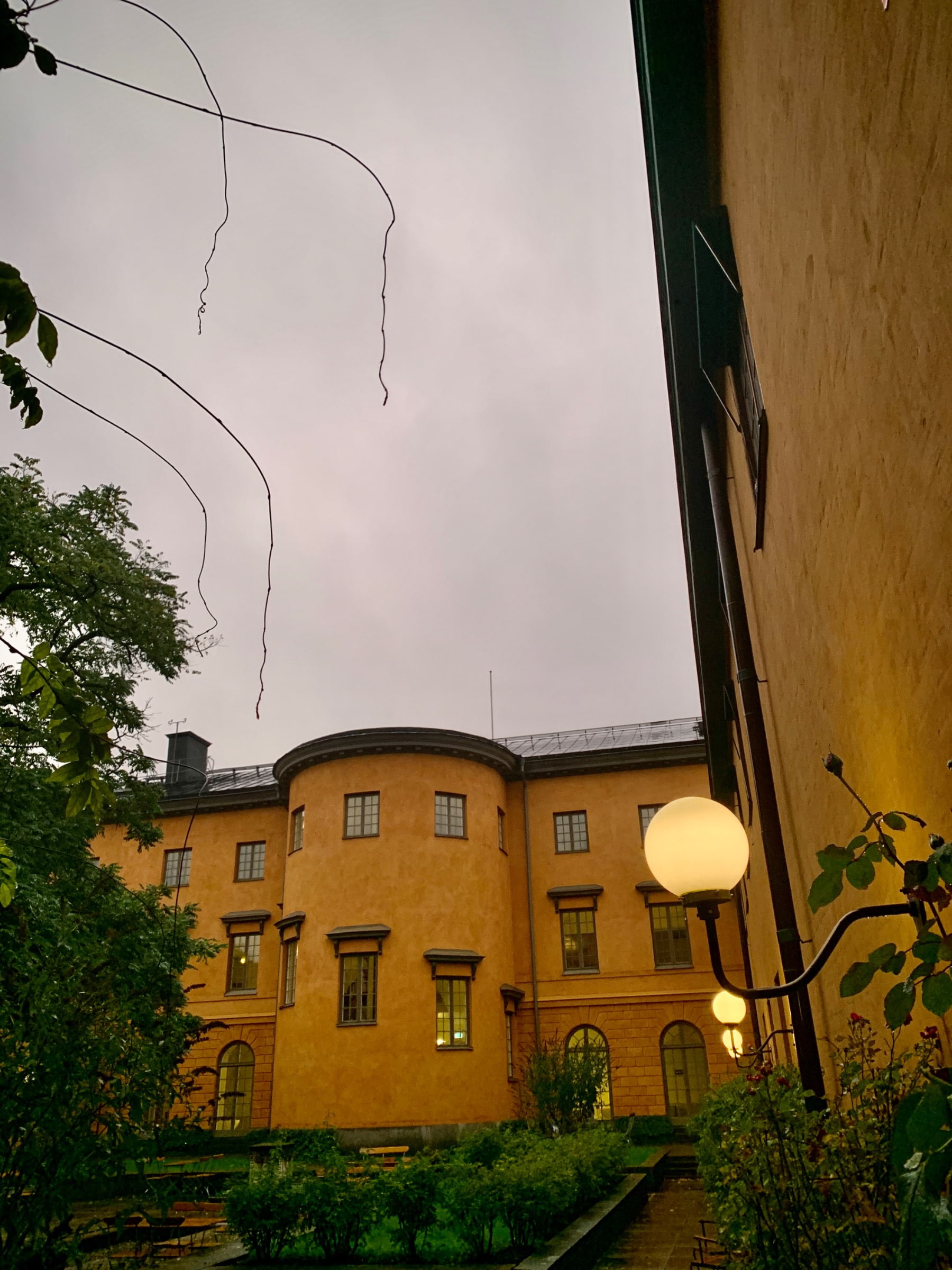 Bild från Restaurang Rosengården av Julia I. (2020-11-08)