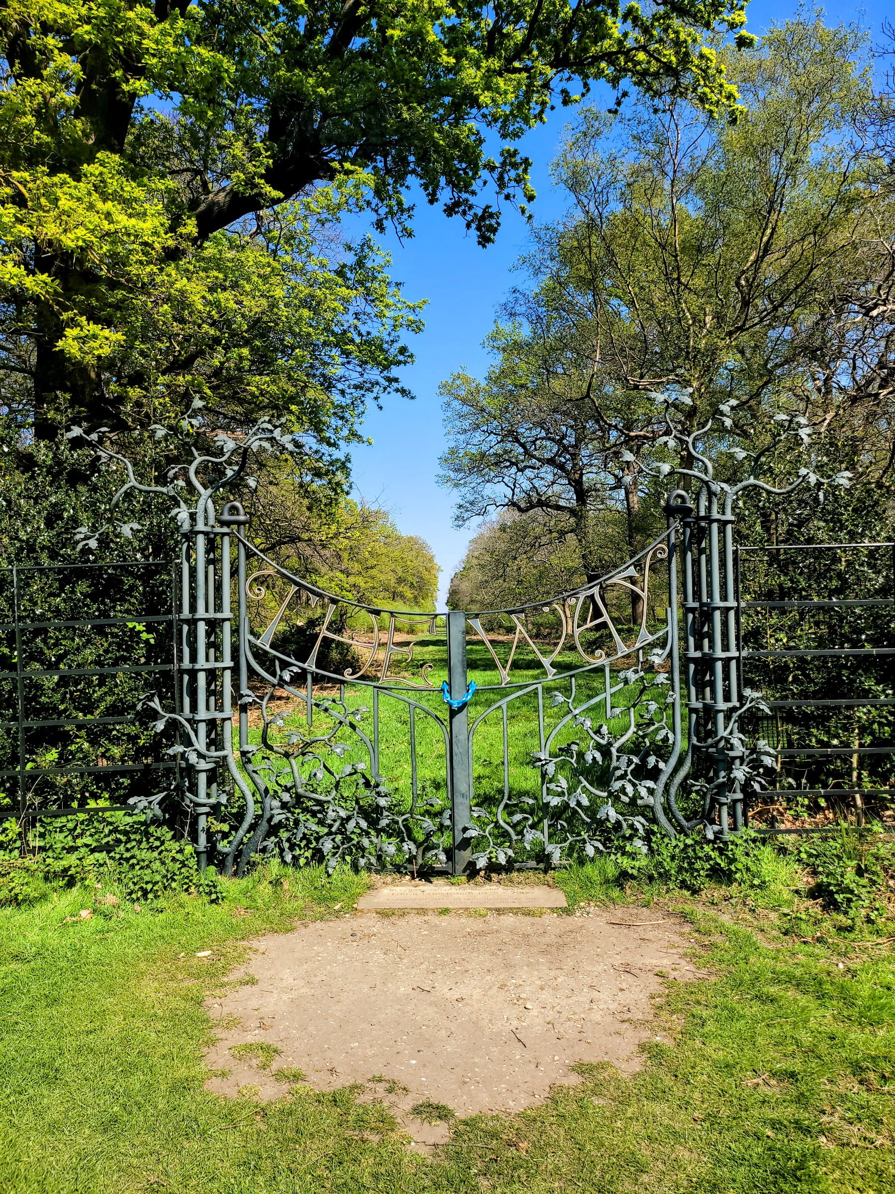 Photo from Richmond Park by Vesna D. (20/09/2022)