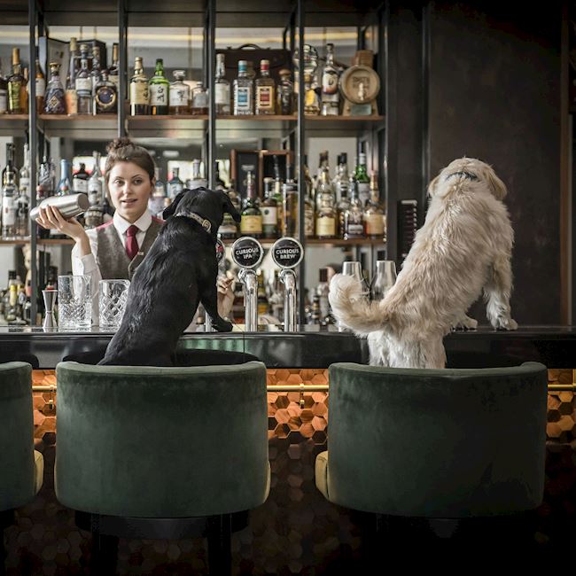 Smith & Whistle – Bars in Mayfair