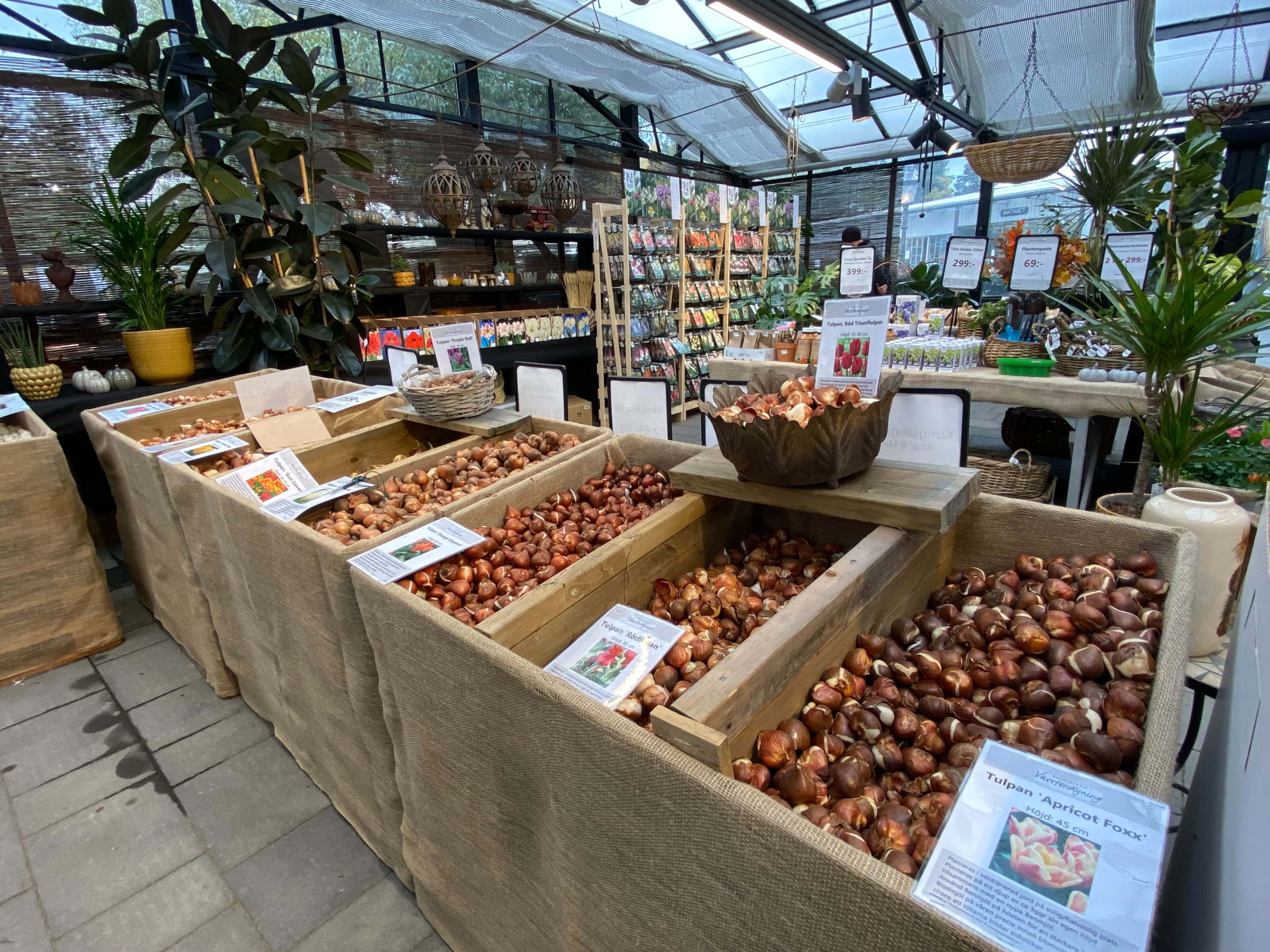 Man blir inte besviken på sortimentet av deras 🌷lökar🌷 – Photo from Åkersberga Växtförsäljning by Anna L. (13/10/2024)