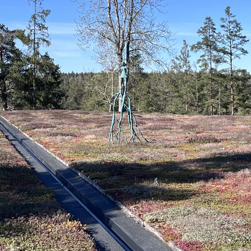 Bild fr&aring;n Artipelag av Birgitta&nbsp;B. (2026-05-10)