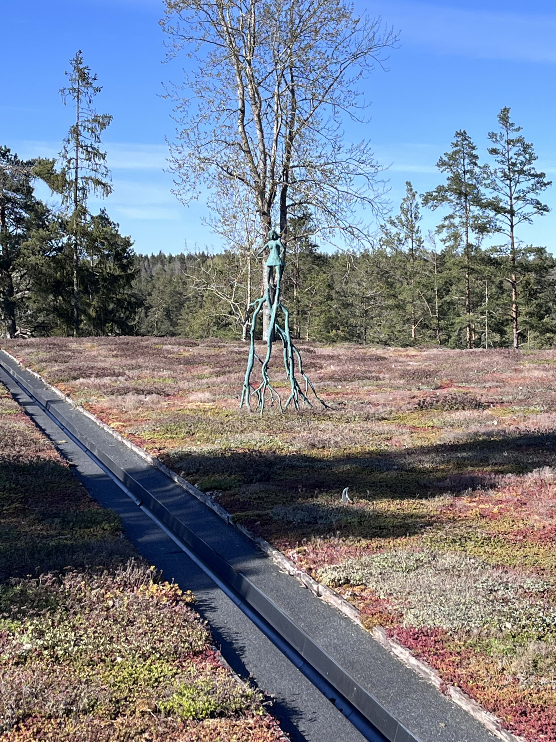 Bild från Artipelag av Birgitta B. (2026-05-10)
