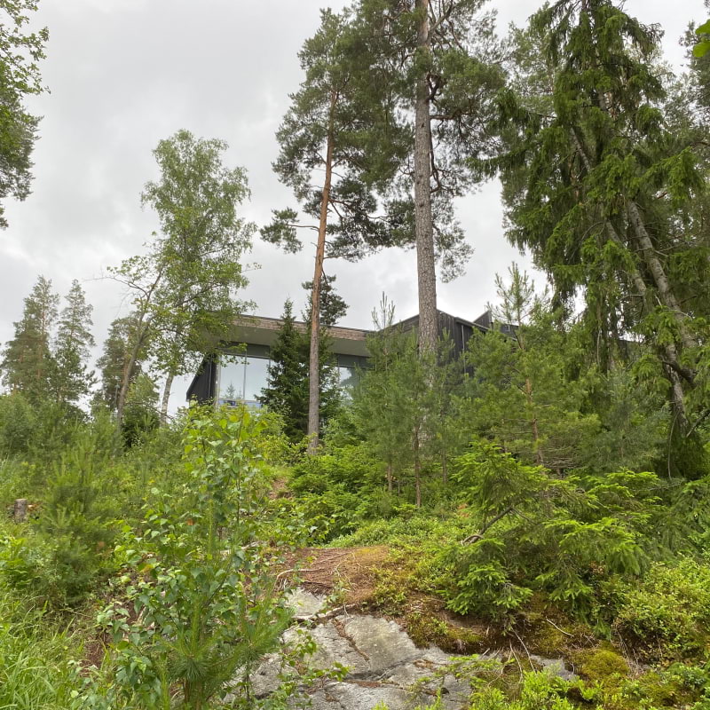 Byggnaden Artipelag bland träden! – Bild från Artipelag av Anna L. (2025-07-05)
