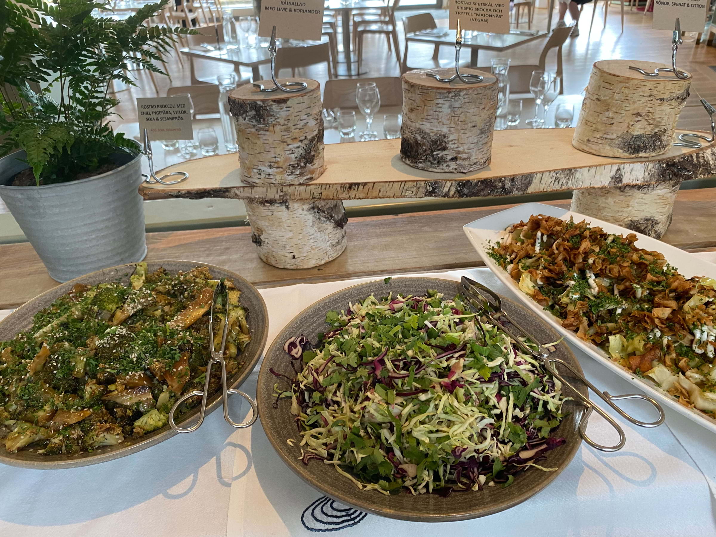 Olika 🥗 fräscha sallader🥗 – Photo from Artipelag by Anna L. (05/07/2025)