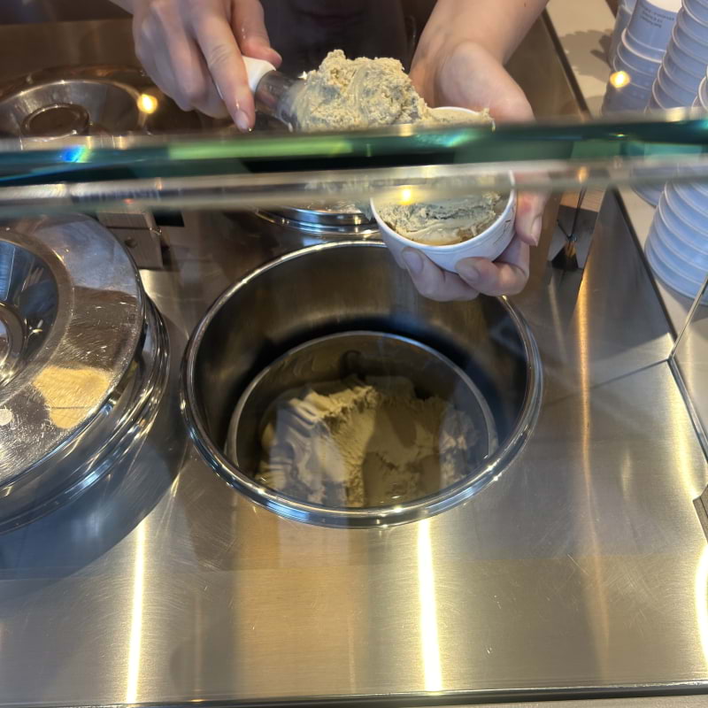 Photo from Aryam by Elsa L. (17/09/2025)