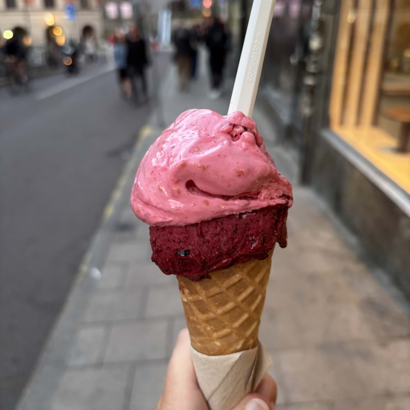 Billede fra Aryam af Elin&nbsp;E. (20.08.2026)