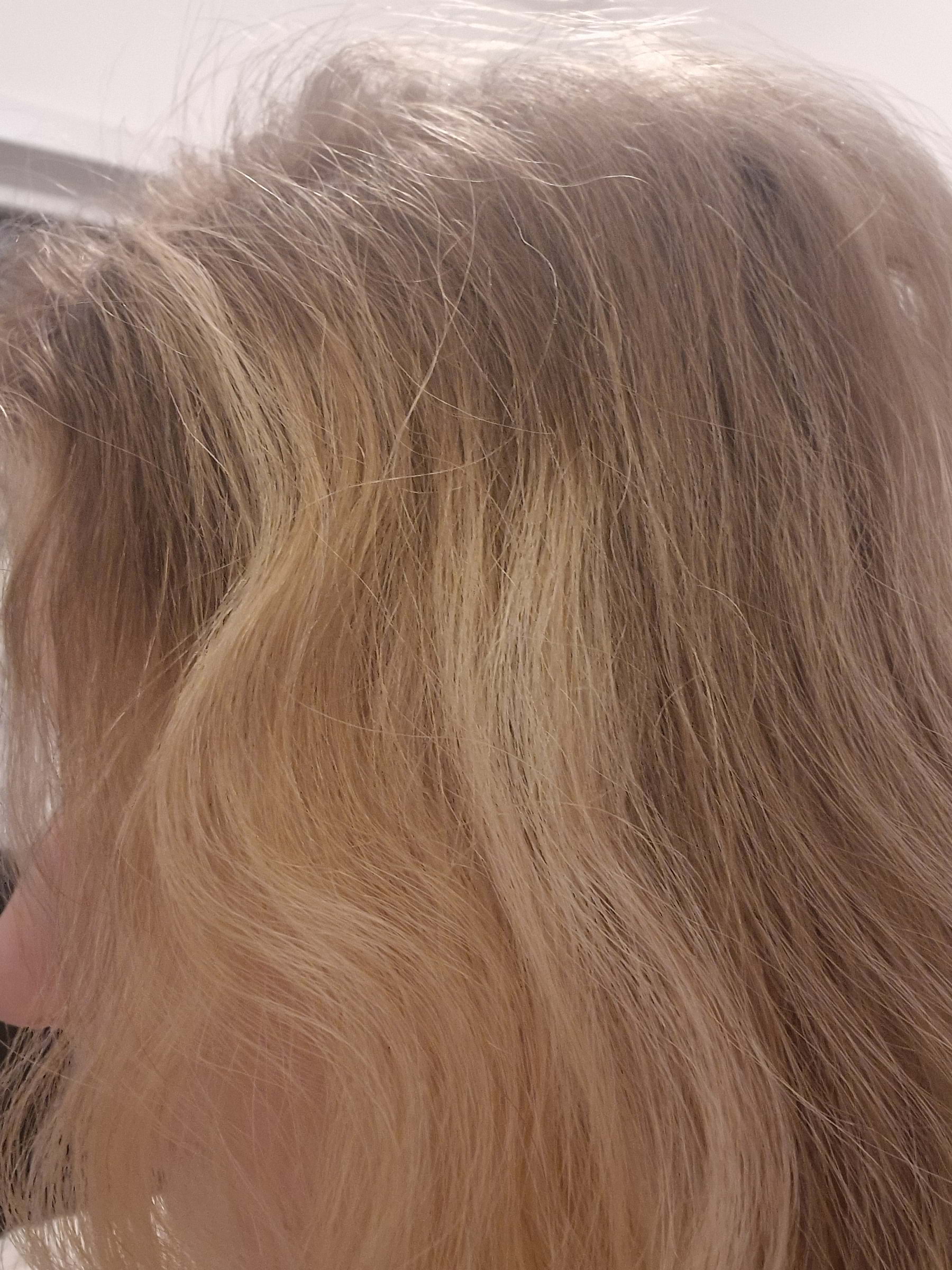 Bild från Balayage Stockholm av Weronika J. (2025-01-21)
