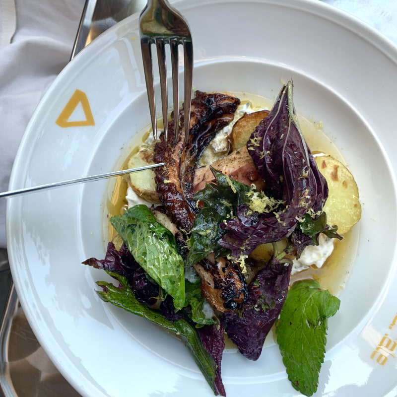 Photo from Bacchanale by Louise S. (09/10/2025)