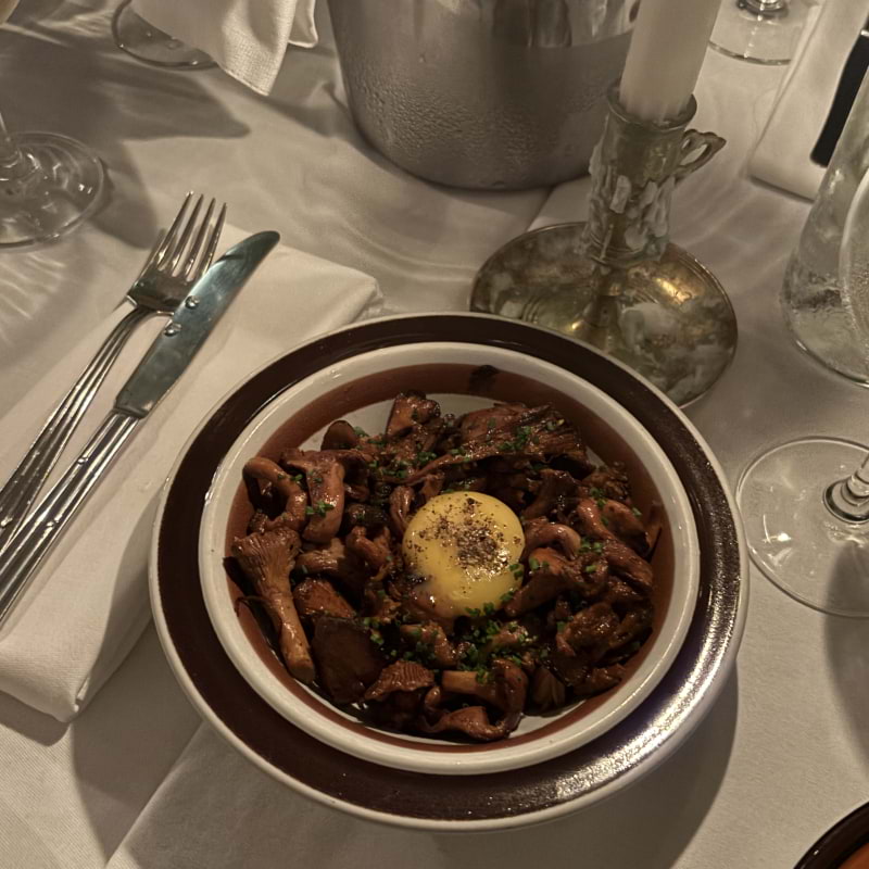 Kantareller med äggula – Photo from Bambi by Lisa M. (31/08/2025)