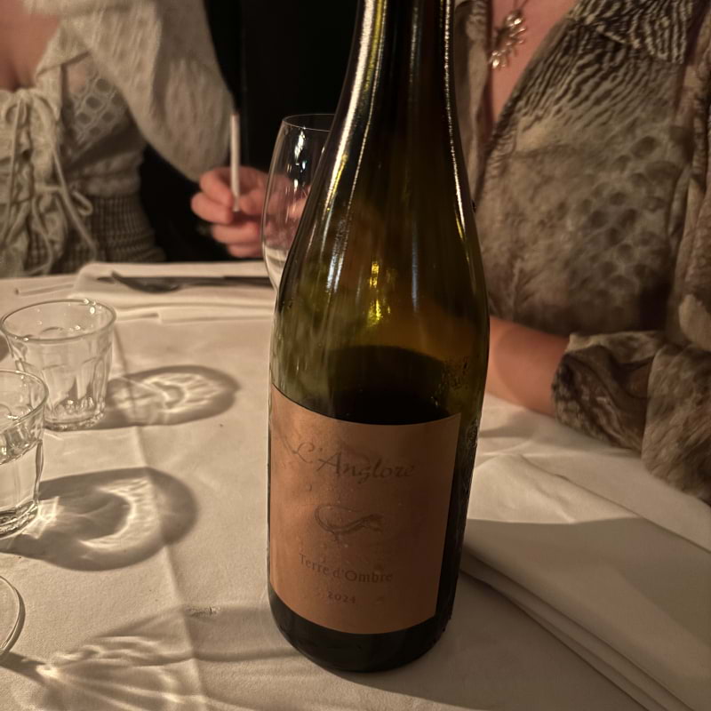 Photo from Bambi by Lisa M. (31/08/2025)