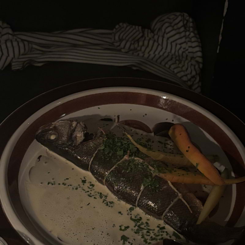 Fisk – Photo from Bambi by Lisa M. (31/08/2025)