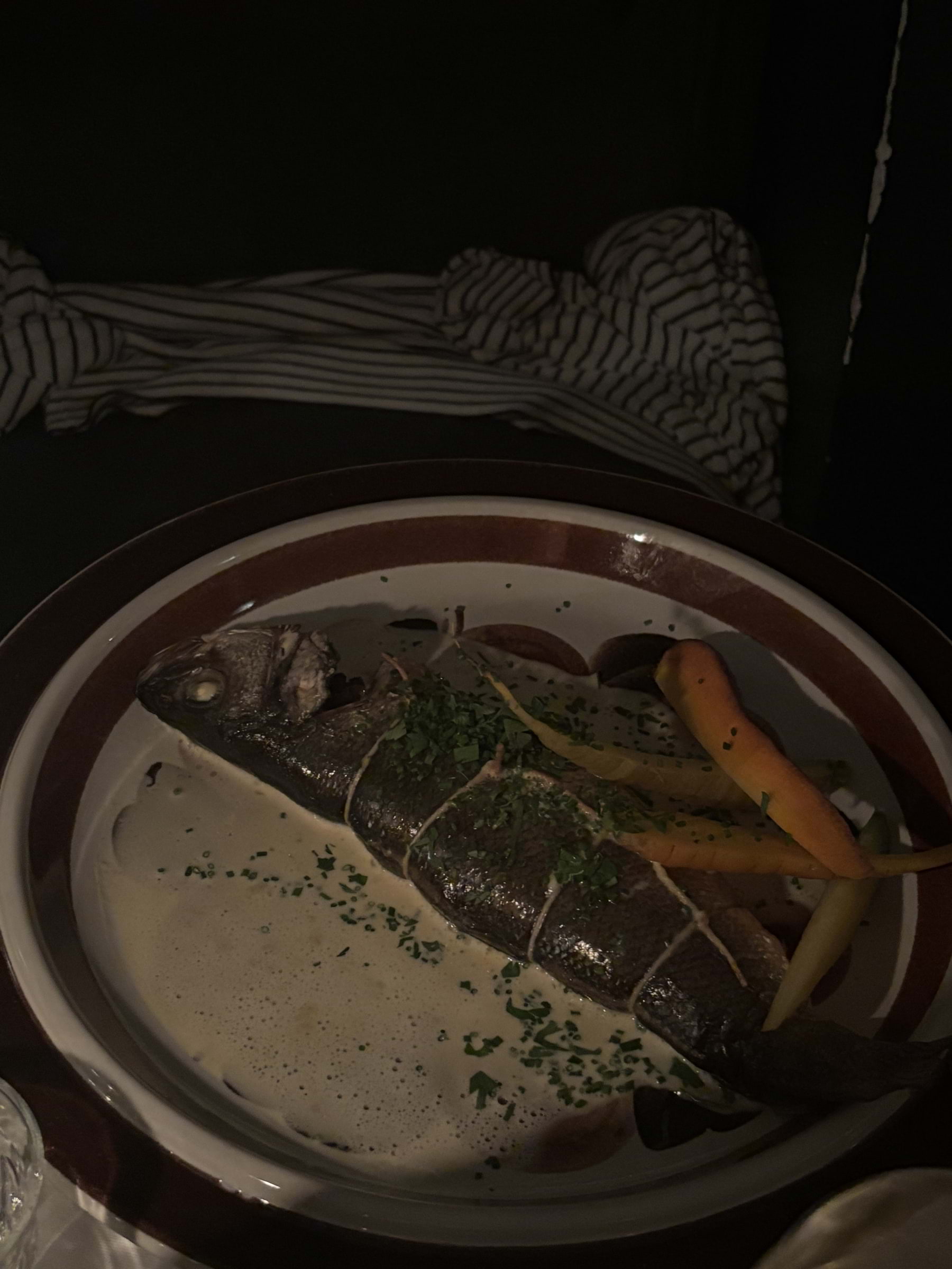 Fisk – Photo from Bambi by Lisa M. (31/08/2025)