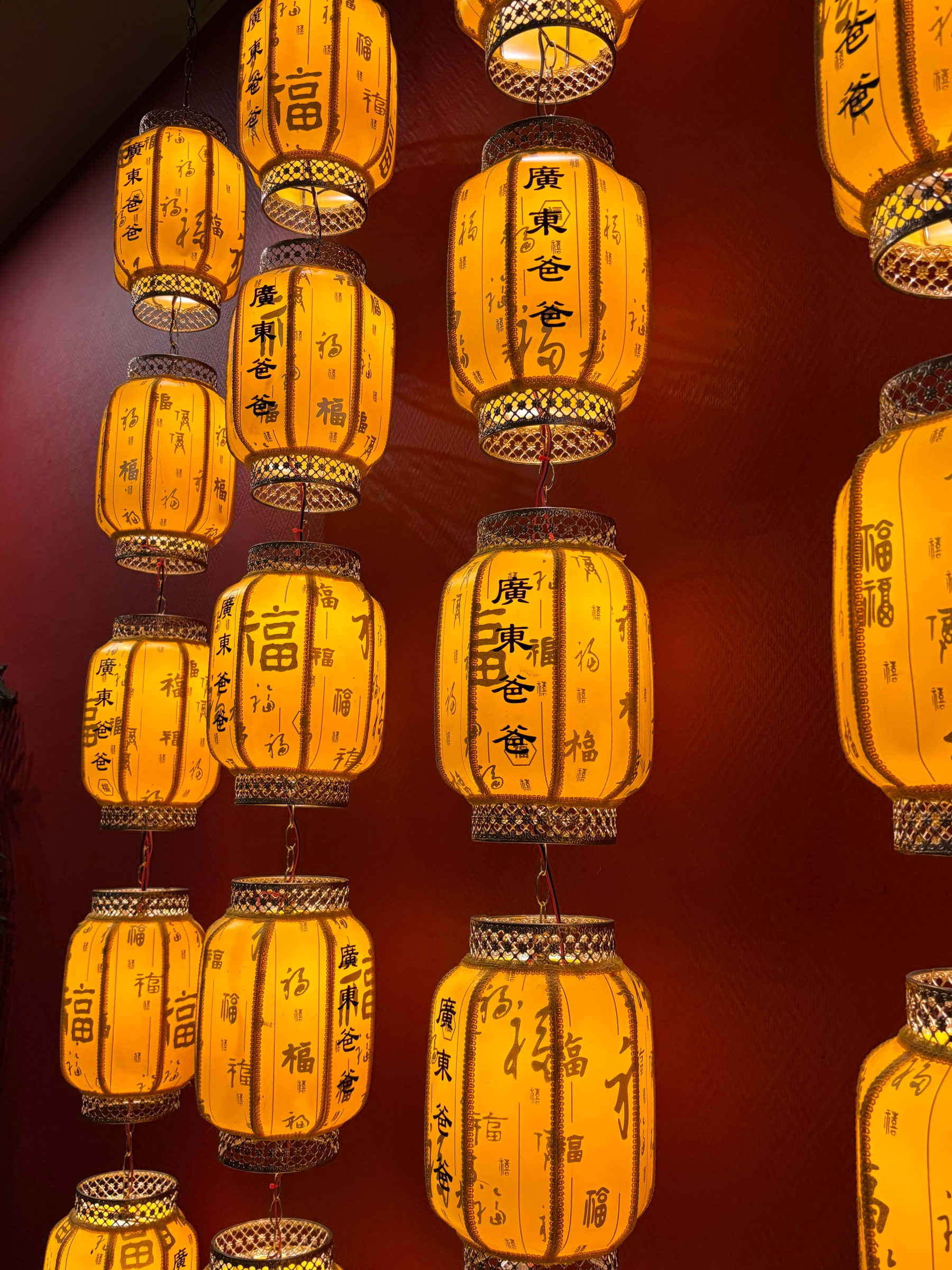 Bild från Canto Papa av Lisa M. (2025-12-20)