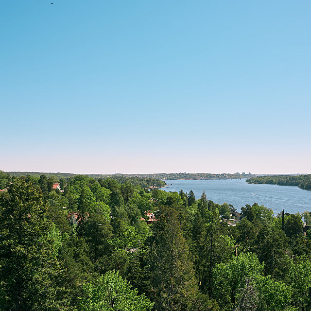 Cedergrenska Tornet