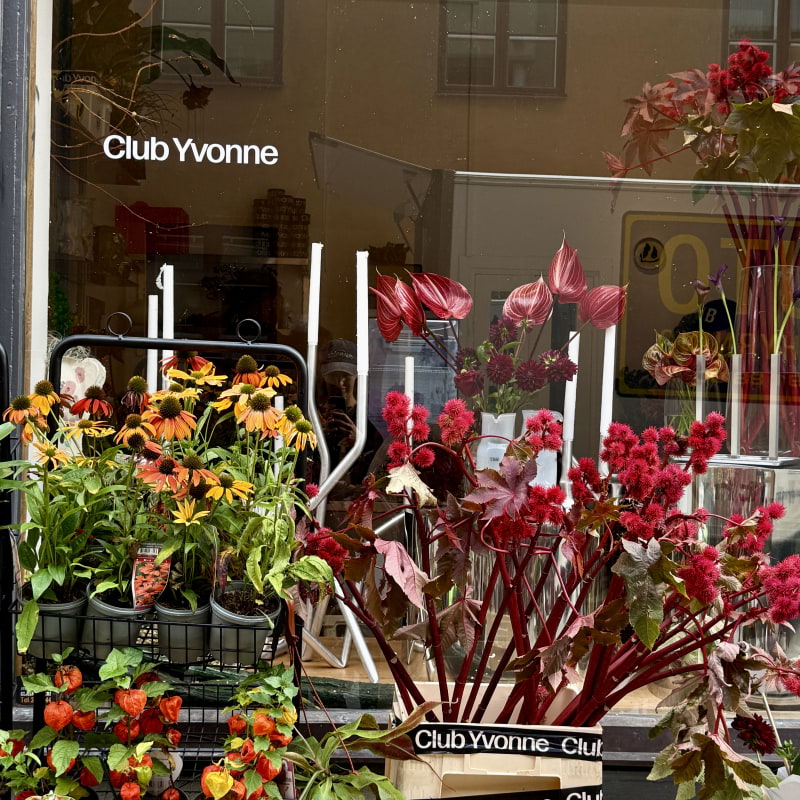 Photo from Club Yvonne by These S. (01/10/2025)