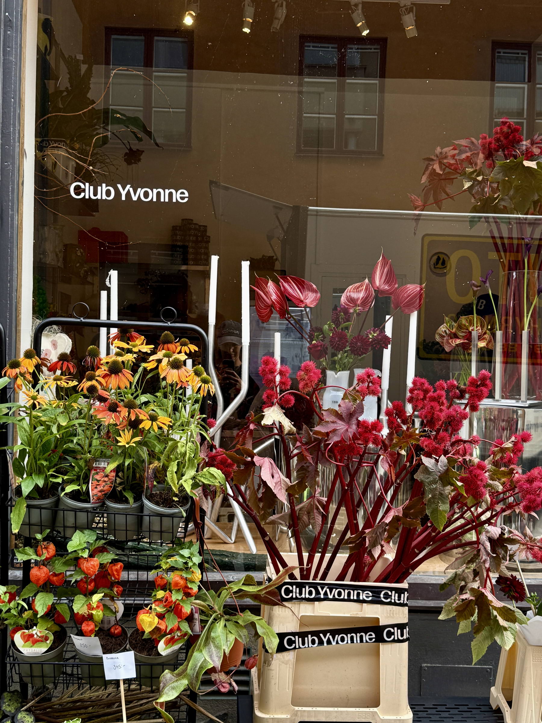 Photo from Club Yvonne by These S. (01/10/2025)