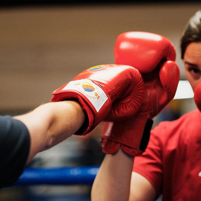 Djurgårdens IF Boxning