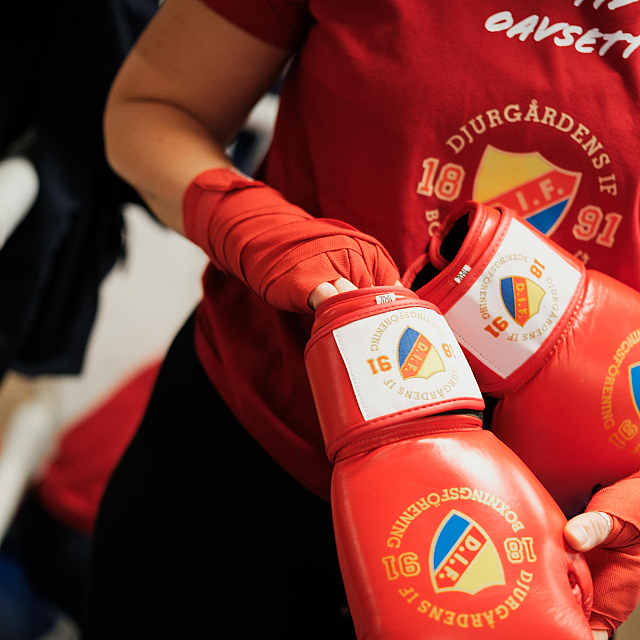 Djurgårdens IF Boxning