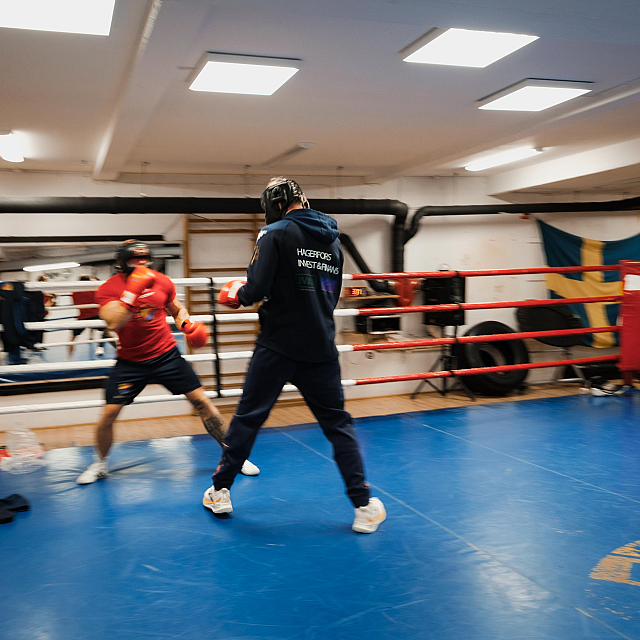 Djurgårdens IF Boxning