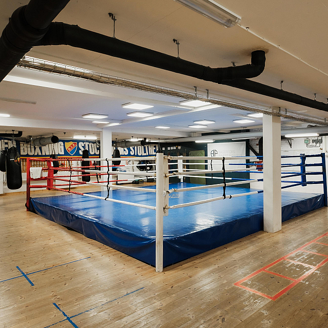 Djurgårdens IF Boxning