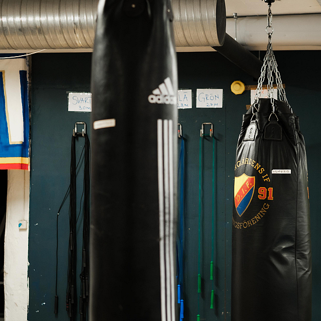 Djurgårdens IF Boxning