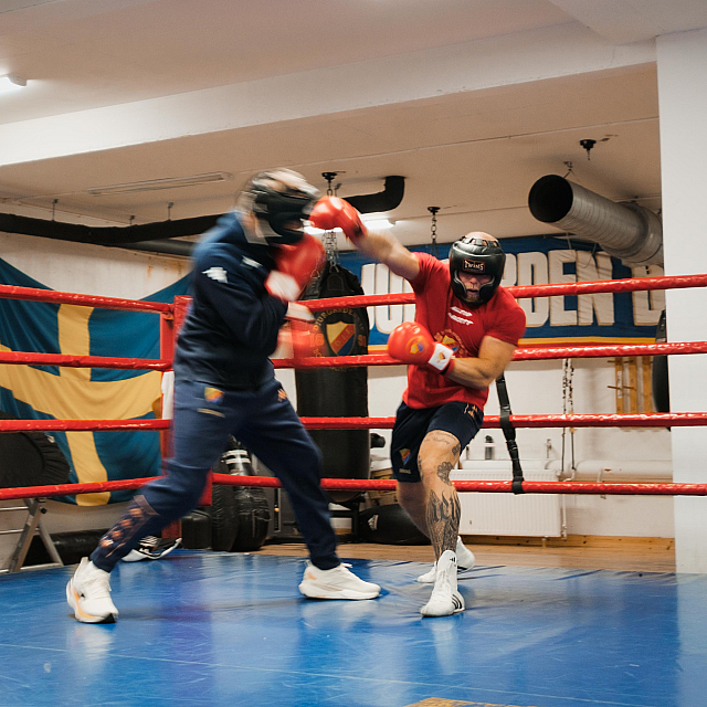 Djurgårdens IF Boxning