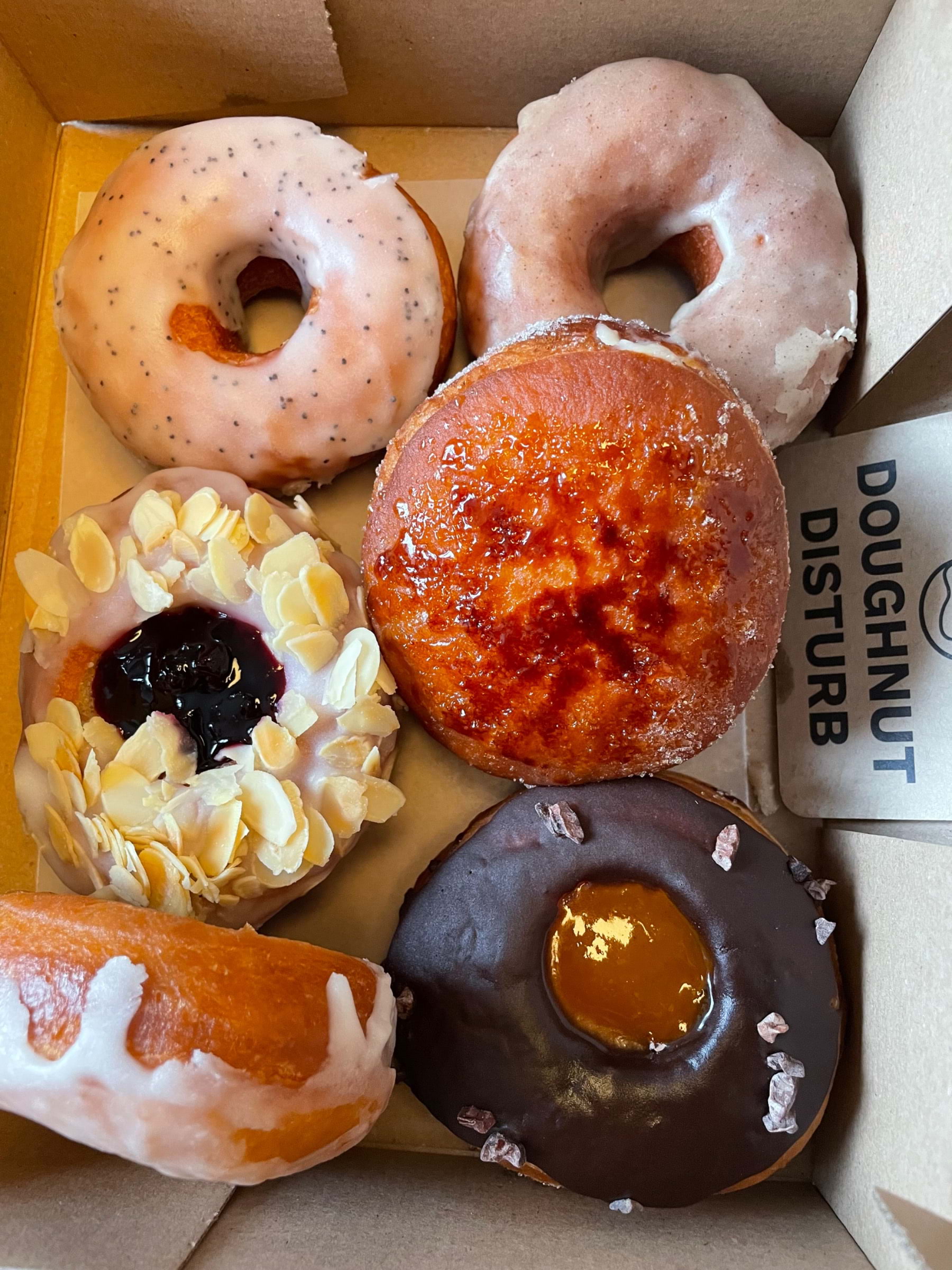 Photo from Doughnut Disturb by Karin J. (23/03/2024)