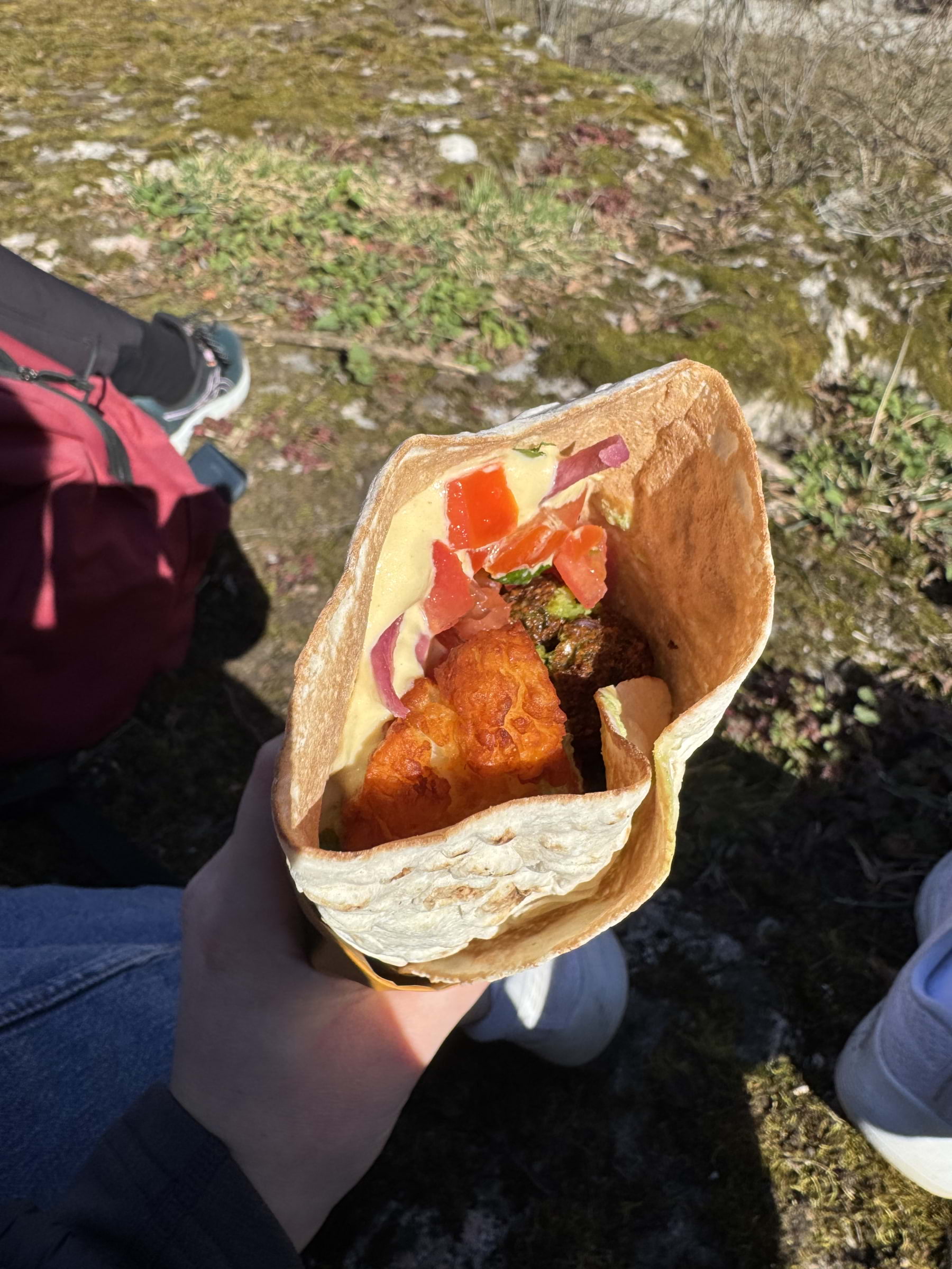 Bild från Falloumi av Julia H. (2026-04-25)