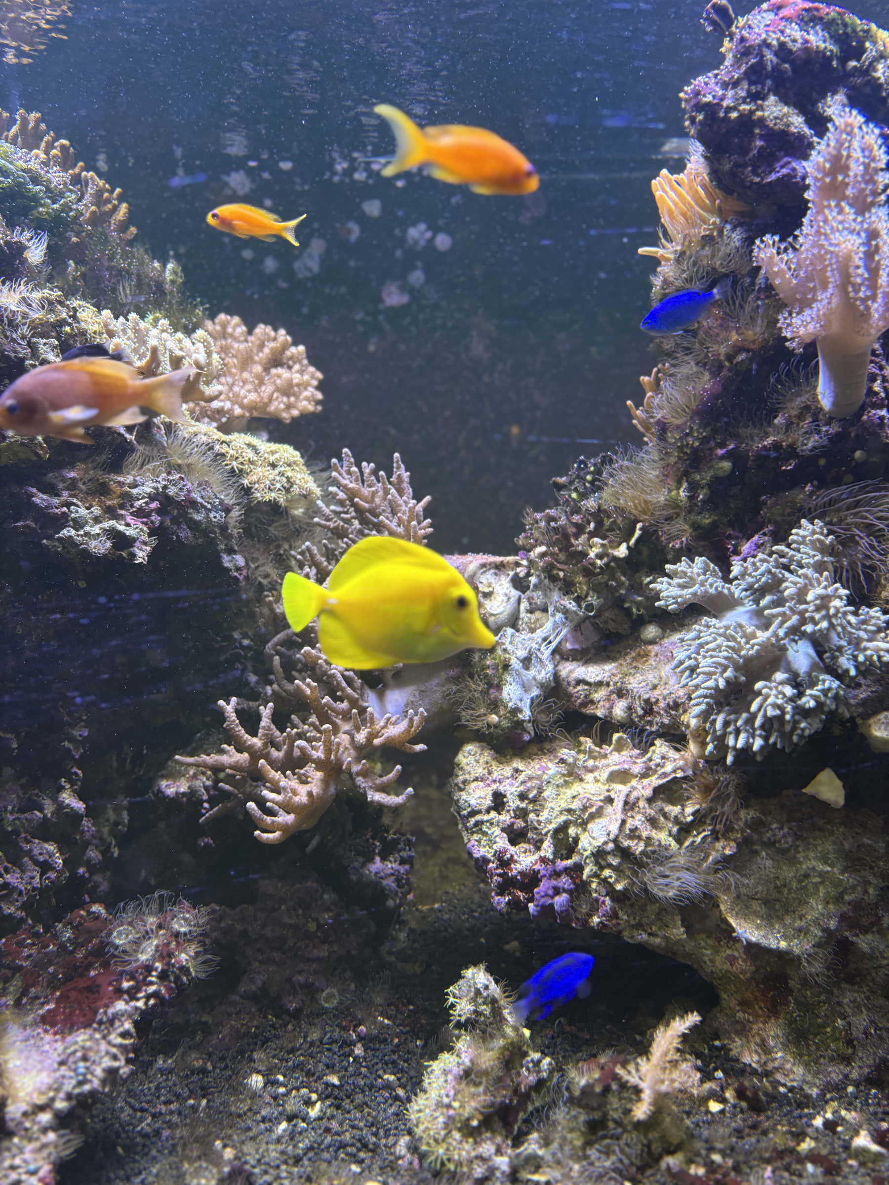 Photo from Fjärilshuset by Catrin M. (05/10/2025)